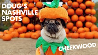 Doug The Pug’s Favorite Places In Nashville - Fall Edition