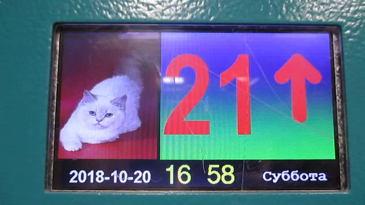 Лифты МЭЛ 2017 года выпуска в новостройке ЖК Путилково (2) - YouTube