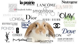 ANIMAL TESTING - MAKEUP COMPANIES AND THE EU BAN