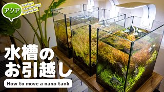 水槽のお引越し。小型水槽を移動しよう #アクアリウム