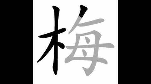 how to write chinese 梅丨Chinese stroke order中文汉字笔顺动画