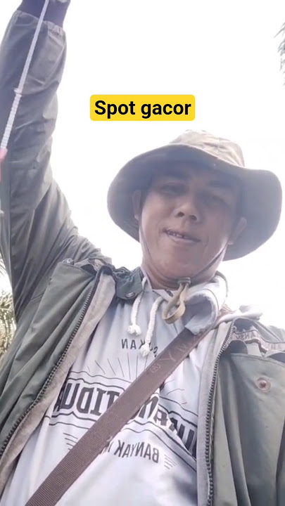 Spot gacor #pemairanborneo #mancingmantap #shortsvideo #shortsviral #shortsfeed #shorts #shotr #fyp