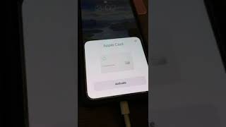 Activating The Anium Apple Card