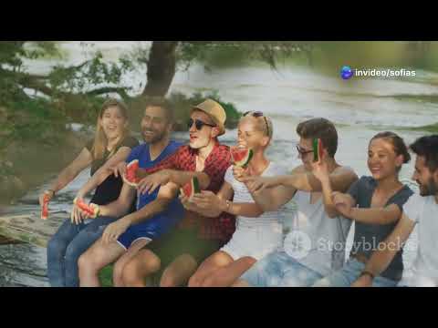 Fumando Marihuana Legal Vs Marihuana Ilegal Cbd Vs Thc