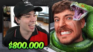 SPREEN REACCIONA A MRBEAST - ENFRENTA TUS MIEDOS POR $ 800.000