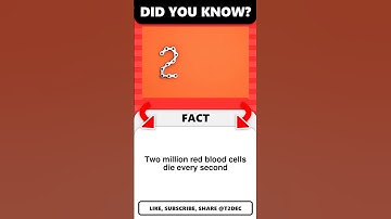 Two million red blood cells die eve... #shorts