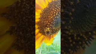 В рамках Мистецького тижня, присвяченого 85-ій річниці від дня утворення Хмельницької області. Вітаємо усіх жителів Хмельницької області.