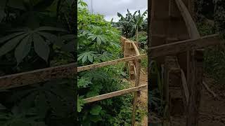 Real estate Ads 9 on Nsnigeria.net Ads #shorts #landforsale #Ads, search code 42900UY Real estate Ads 9 on Nsnigeria.net Ads #shorts #landforsale #Ads, search code 42900UY