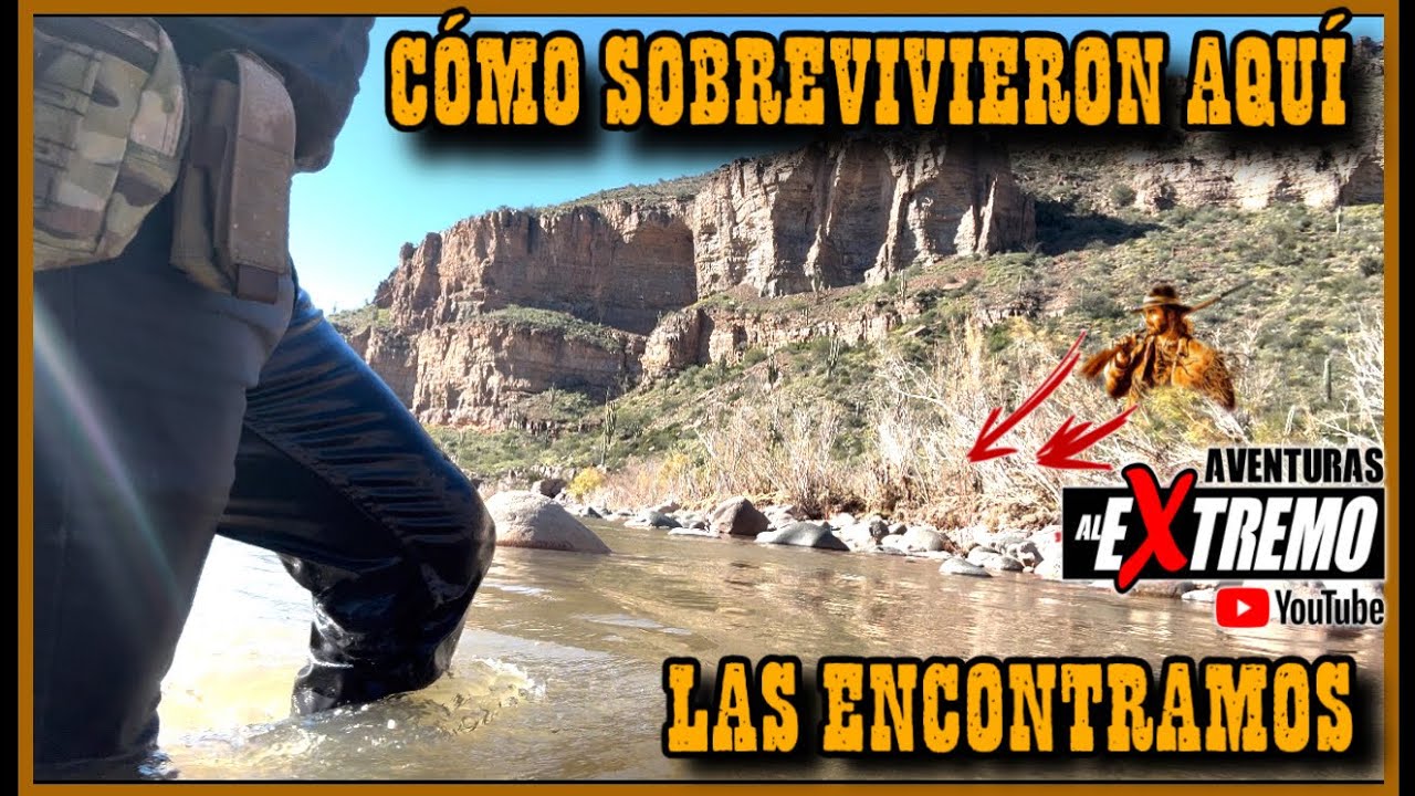 POR FIN LAS ENCONTRAMOS A LA ORILLA DEL RÍO COMO ES POSIBLE QUE HALLAN SOBREVIVIDO AHÍ X TANTOS AÑOS