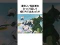 【やったぜドン勝だー】ガンダムを倒した量産機!