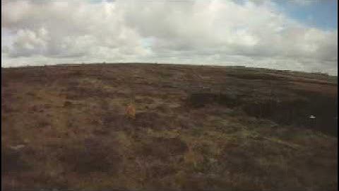 Jog in the Bog Run.avi