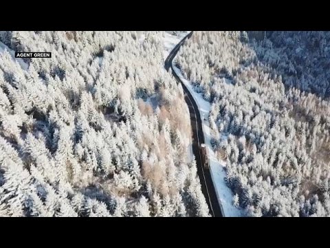 Vídeo: MS Investiga Alegações De Exploração Ilegal