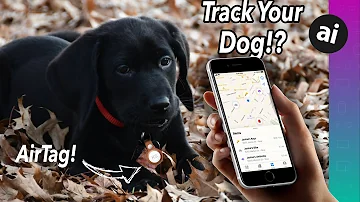 Can I put a tile tracker on my dog?