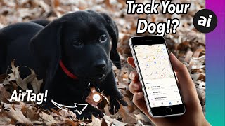 Can You Use AirTag to TRACK Your Pets!?! What About Kids!? screenshot 4