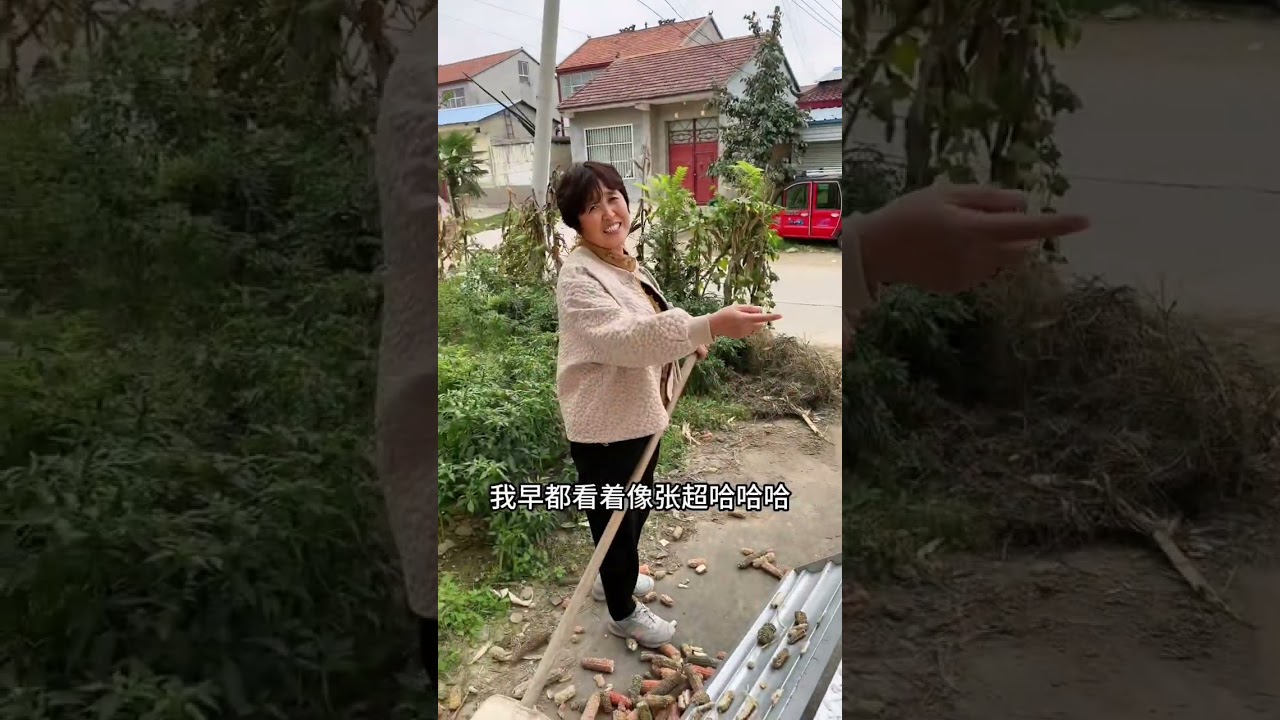 挑了个好天打棒子，打着打着下雨了，最后浓着也打完了#记录真实生活 #农村生活 #原创视频