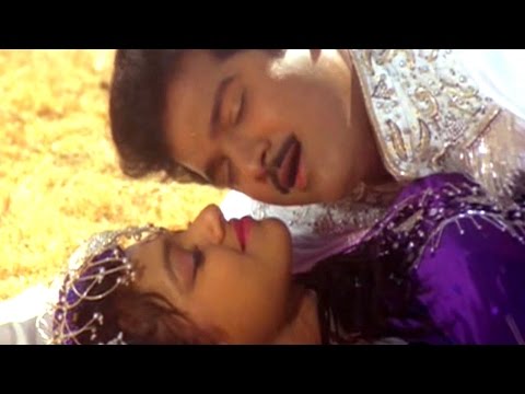 Jhum Jhum Yeda Video Song || Kannayya Kittayya Telugu Movie || Rajendra Prasad, Shobana