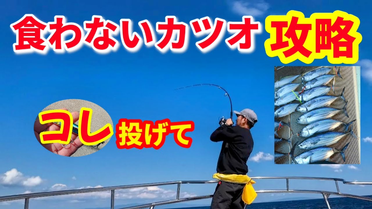 義丸カツオキャスティング