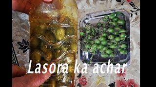 Lasora  ka achar/ easily steps/  how to make lasoora achar at home by hbfc
