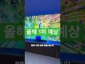 oled tv 구매하실거면 이 모델 무조건 봐보세요. tv 추천