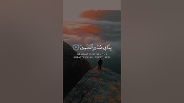 أوليس الله بأعلم بما في صدور العالمين - سورة العنكبوت - القارئ يوسف المرهون 🎤 #القران_الكريم #فلسطين