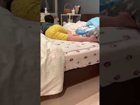 犬vs子ども#Shorts【ジャックラッセルテリア Jack Russell Terrier】