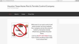 Galveston Island TX Home Pest Control Services | 832-426-3220