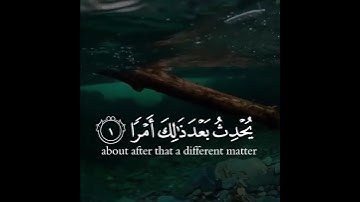 تلاوة هادئة وقصيرة || القارئ : رعد الكردي || سورة : الطلاق