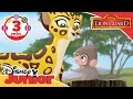 The Lion Guard | Baboon Song  | Disney Junior UK