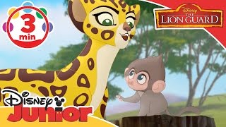 Miniatura de vídeo de "The Lion Guard | Baboon Song  | Disney Junior UK"