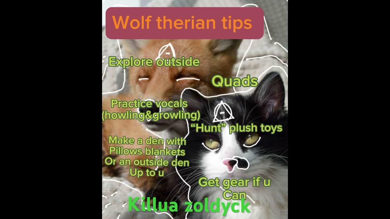 Wolf therian tips therian therianthropy tips YouTube