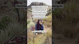 Your body has cellular memory