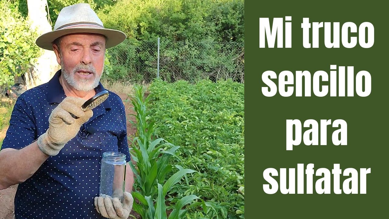 Cómo sulfatar las plantas para evitar hongos, araña roja y otras plagas de manera ecológica y fácil