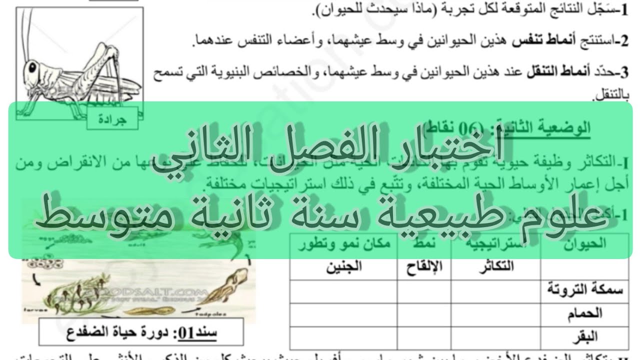 اختبار الفصل الثاني علوم طبيعية سنة ثانية متوسط