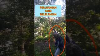 perjuangan seorang petani durian agar buah durian tidak busuk @Sulidurianmontong  #pertanian
