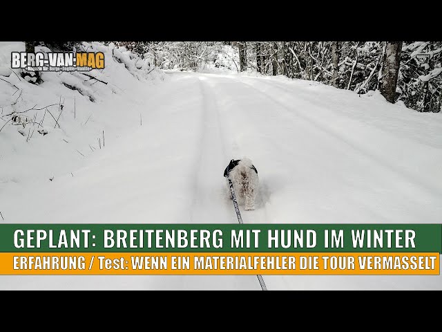 Crossblades Schneeschuhe Test & Erfahrung (Bergtour mit Hund)