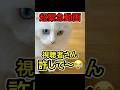 なんで許してくれないの？ #shorts