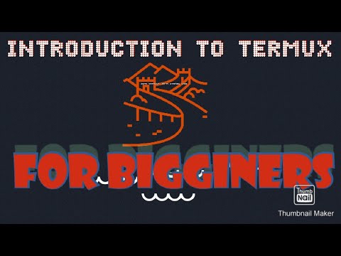 INTRODUCTION TO TERMUX