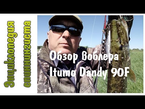 Обзор воблера Itumo Dandy 90F  Щукам очень нравится