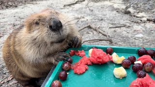 Memorial Weekend Snack 