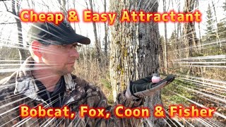 Amazing Visual Attractant Cheap and Easy