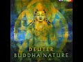 Miniature de la vidéo de la chanson Buddha Nature