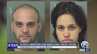 2 arrested for allegedly running marijuana grow house in suburban West Palm Beach, Florida