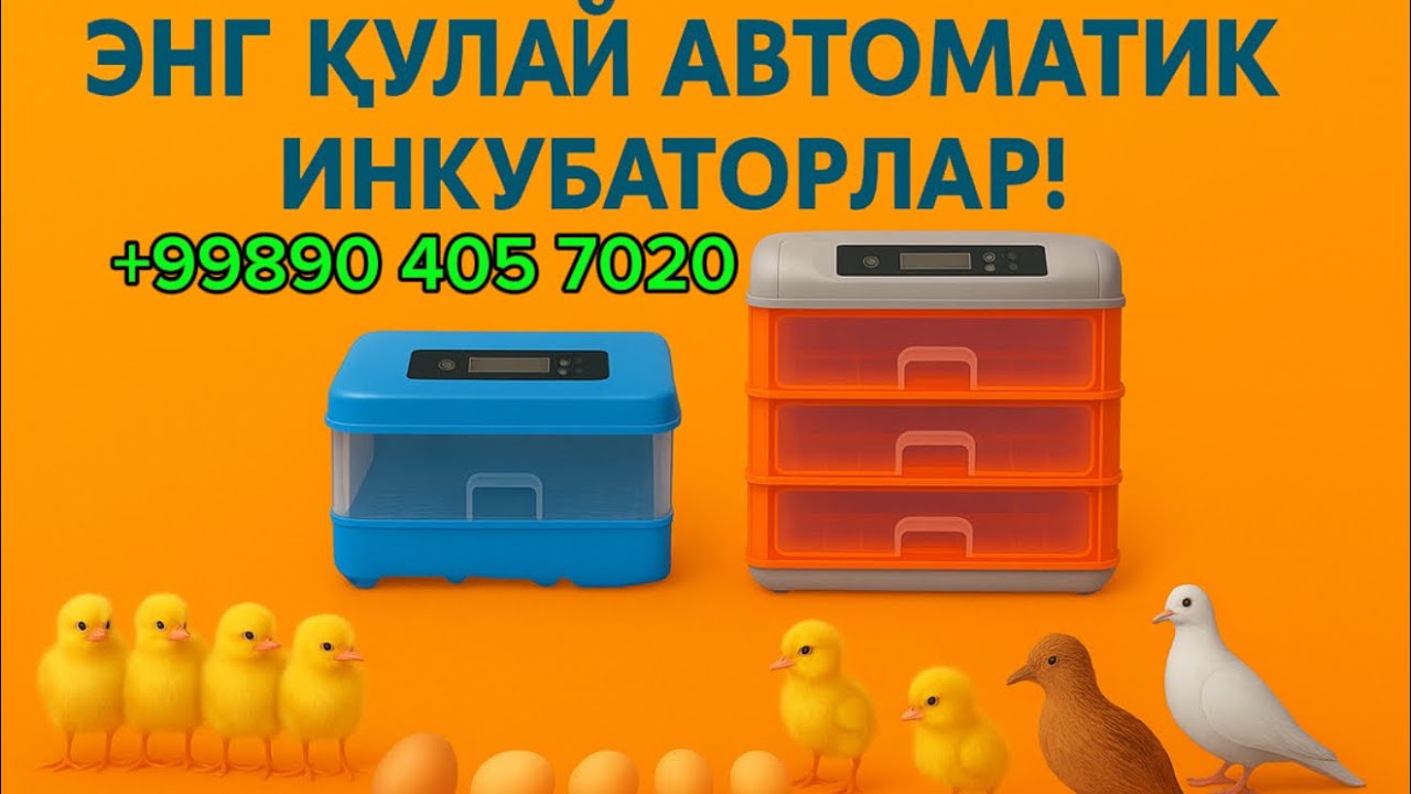 🐣 Жўжаларни етиштириш энди осон!Энг янги автоматик инкубаторлар #Inkubator#ЖўжаЧиқариш#Инкубатор2026