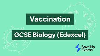 Vaccination: GCSE Biology (Edexcel)