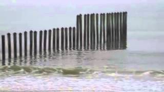 Surfline Poles Report 01 28 2014