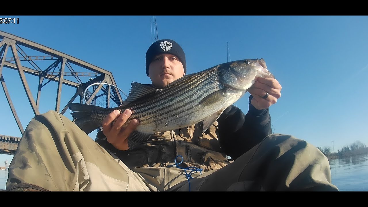 Quick Striper Fishing Trip on the Elizabeth River YouTube