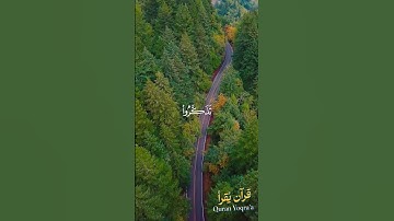 إن الذين اتقوا #سورة_الأعراف #القرآن_الكريم #احمد_العجمي #اكسبلور #راحة_نفسية #لايك #تلاوة_خاشعة