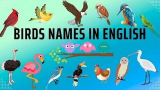 BIRDS NAME IN ENGLISH/BIRDS NAME For KIDS/🐓🐦🐔🐣🦜🦅/پرندوں کے نام screenshot 5