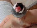 飛んで来る文鳥 手乗り文鳥 指乗り文鳥 さえずり文鳥 文鳥動画
