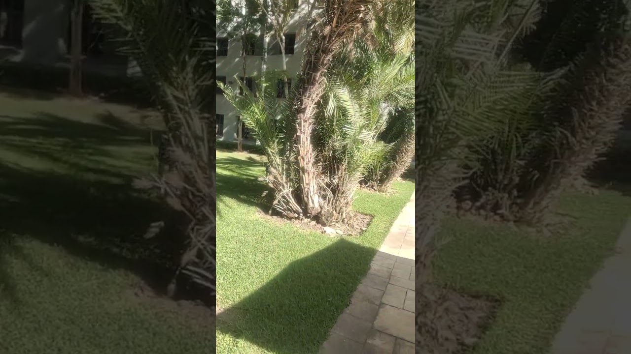 Pool view, Back yard, Hotel Stay easy,  Lusaka,  Zambia